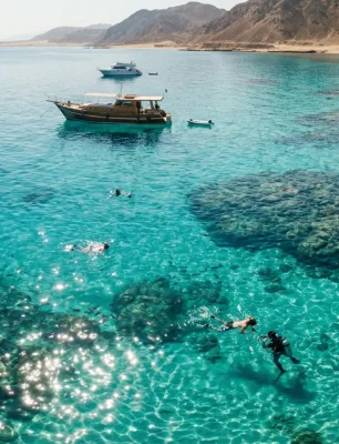 Gemini_Generated_Image_13w0ig13w0ig13w0