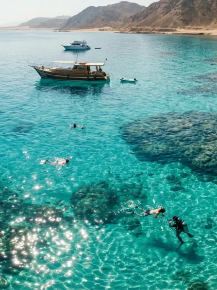 Gemini_Generated_Image_13w0ig13w0ig13w0